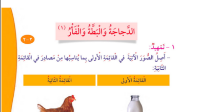 حل درس الدجاجة والبطة والفأر للصف الثاني المنهاج الكويتي