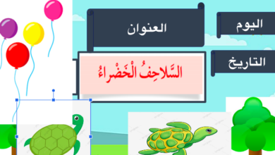 حل درس السلاحف الخضراء للصف الثالث المنهاج الكويتي