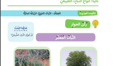 حل درس النبات الطبيعي للصف الاول المنهاج الاماراتي