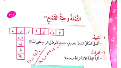 حل درس النملة وحبة القمح للصف الرابع المنهاج الكويتي