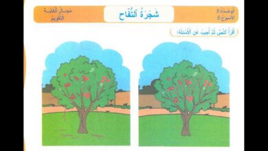 حل درس شجرة التفاح للصف الخامس المنهاج الاماراتي