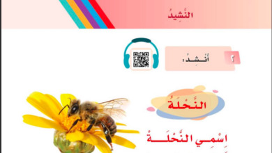نشيد النحلة للصف الاول ابتدائي المنهاج السعودي